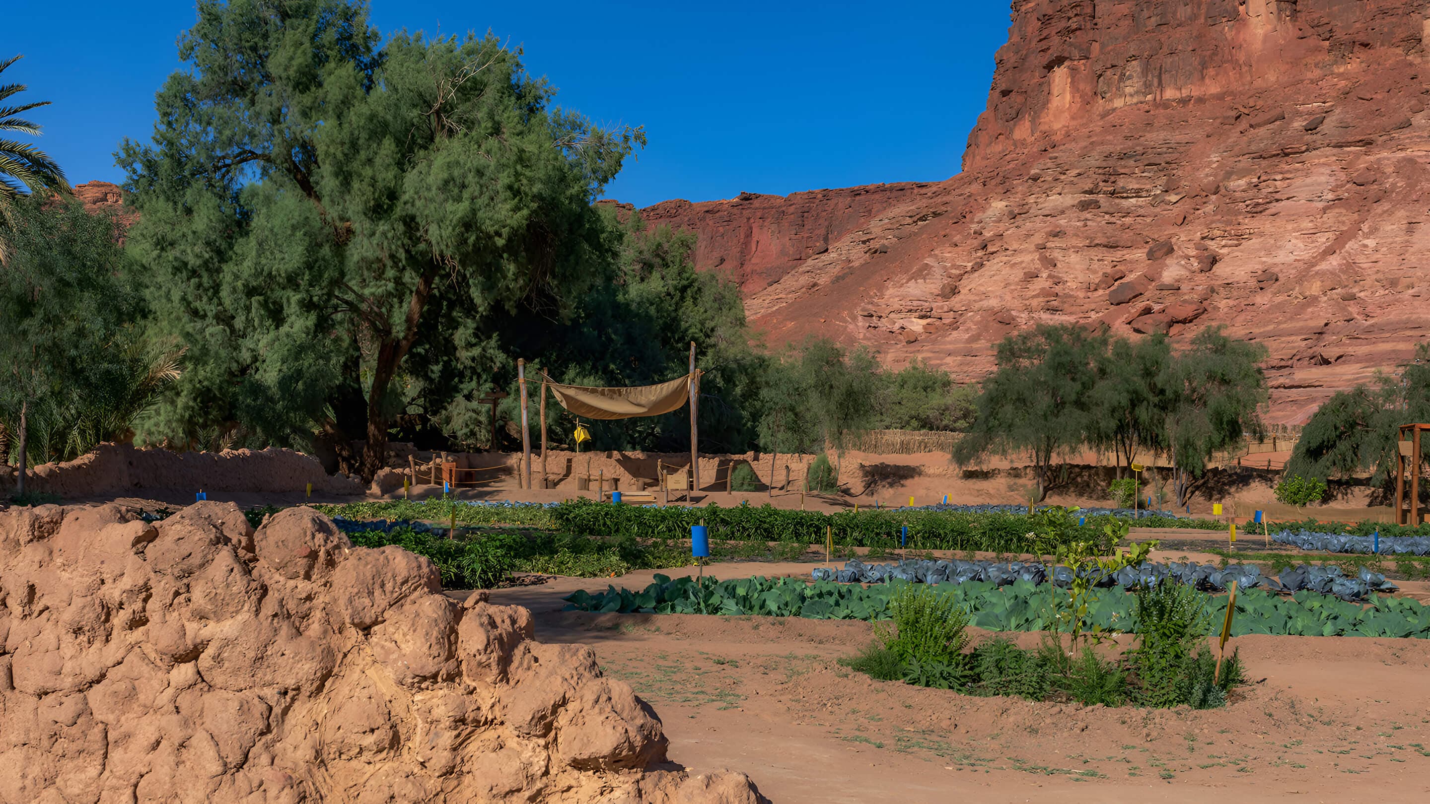 AlUla Oasis