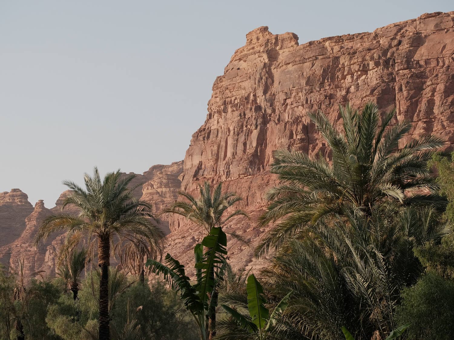 AlUla Oasis